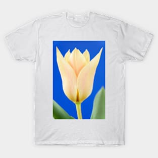Tulipa  &#39;Fur Elise&#39;  Tulip  Greigii Group T-Shirt